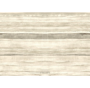 dg4med102x_0x950