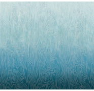 dg4moi103x_0x950