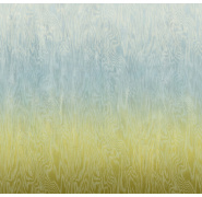 dg4moi107x_0x950