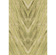 dgcal204-oribico-olive_0x950