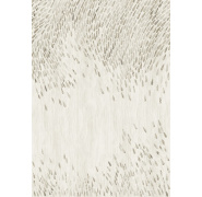 dgcal501-lapilli-chalk-1_0x950