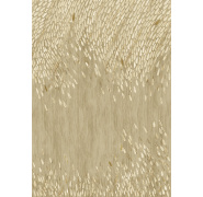 dgcal502-lapilli-dune_0x950