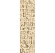 dgjoy2011_0x950