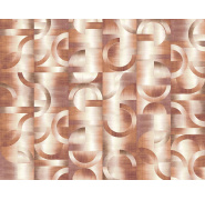 dgpri102_0x950