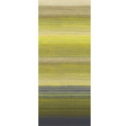 dgric206chanderielime-1_-_kopie_0x950