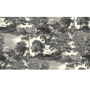 dgsal101salceyforest-2_0x950