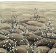 dgtra501_sakura_kuro-1_0x950