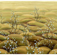 dgtra502_sakura_midori-1_0x950
