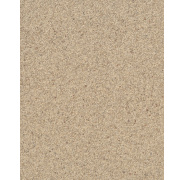 int502_0x950
