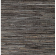 ric401-1_0x950