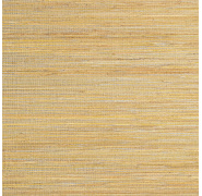 ric402-1_0x950