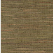ric404-1_0x950