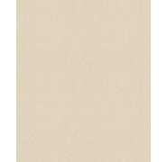 rom301_g-1_0x950