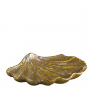shell-dish