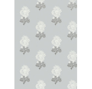 t72605-medium