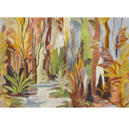 taigajungle-1_0x950