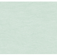 ter002_0x950