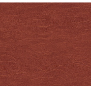 ter004_0x950