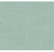 ter501_0x950