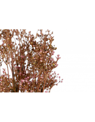 201169-4