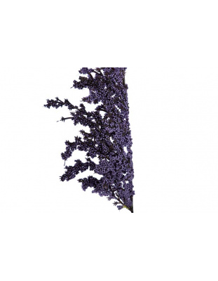 812065-4