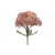 389033_msolata