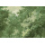 dg4woo102x_0x950_1