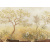 dgtes101-palmira-gold-1_0x950