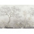 dgtes102-palmira-oyster-1_0x950