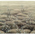 dgtra501_sakura_kuro-1_0x950