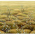 dgtra502_sakura_midori-1_0x950