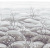 dgtra503_sakura_silver-1_0x950