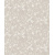 hav202_g_0x700