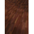 nvtelen_1661218137