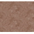 ray201_g_0x950