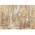 taigaandorra-1_0x950