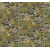 zon505_g-1_0x950
